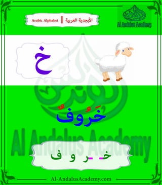 Al-AndalusAcademy.com
‫خ‬
ٌ‫وف‬ُ‫ر‬َ‫خ‬
‫ف‬ ‫و‬ ‫ـر‬ ‫خـ‬
Arabic Alphabet | ‫العربية‬ ‫األبجدية‬
Arabic Alphabet | ‫العربية‬ ‫األبجدية‬
 