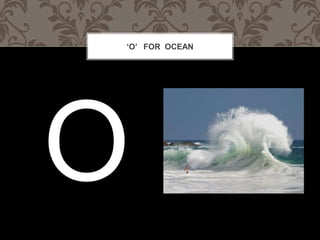 O FOR OCEAN
 