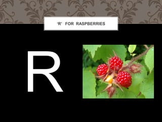 R FOR RASPBERRIES
 