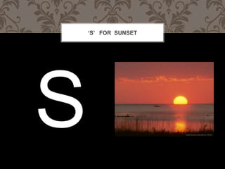 S FOR SUNSET
 