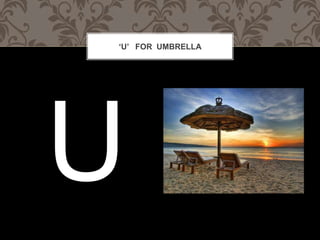 U FOR UMBRELLA
 