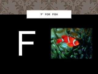 F FOR FISH
 
