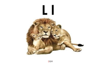 L l
Lion
 