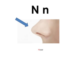 N n
Nose
 