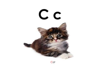 C c
Cat
 