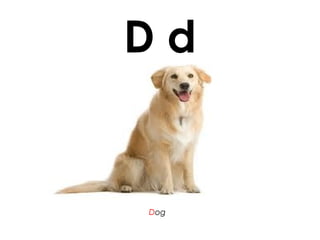 D d
Dog
 