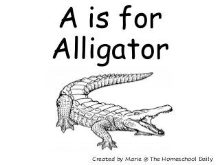 Created by Marie @ The Homeschool Daily
A is for
Alligator
 