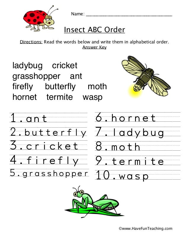 Alphabetical Order Worksheet Insects
