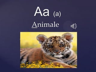{
Aa (a)
Animale
 