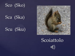 Sco (Sko)
Sca (Ska)
Scu (Sku)
Scoiattolo
 