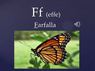 Ff (effe)
Farfalla
 
