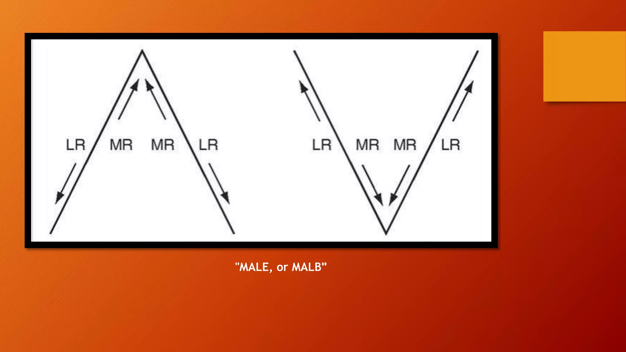 "MALE, or MALB"
 