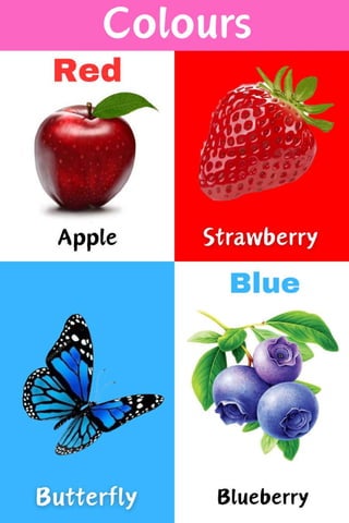 Alphabet, Numbers, Colors, and Shapes - A Fun Educational for Kids” | PDF