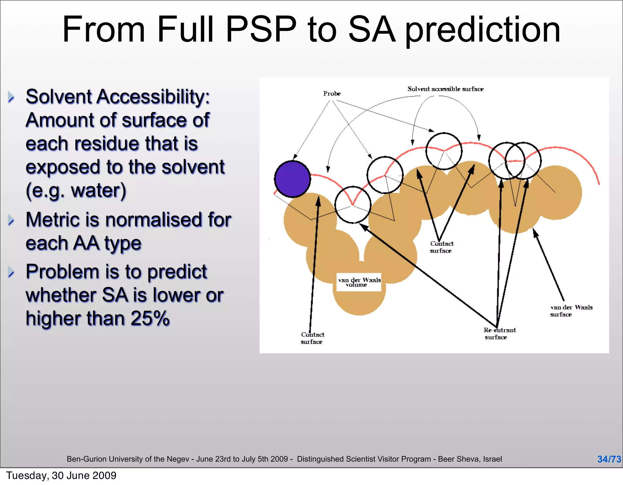 From Full PSP to SA prediction
   Solvent Accessibility:
    Amount of surface of
    each residue that is
    exposed to the solvent
    (e.g. water)
   Metric is normalised for
    each AA type
   Problem is to predict
    whether SA is lower or
    higher than 25%




           Ben-Gurion University of the Negev - June 23rd to July 5th 2009 - Distinguished Scientist Visitor Program - Beer Sheva, Israel   34 /73
Tuesday, 30 June 2009
 