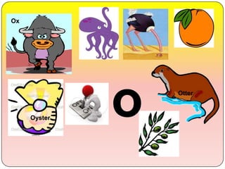 o Otter
Ox
Oyster
 