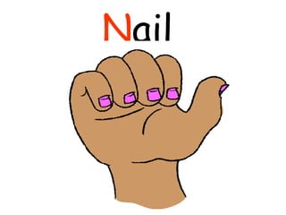 N ail  