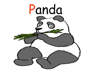 P anda  