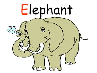 E lephant  