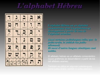 L'alphabet HébreuL'alphabet Hébreu
L'alphabet Hébreu est un alphabet L'alphabet Hébreu est un alphabet 
consonantique dont les graphèmes se consonantique dont les graphèmes se 
développèrent à partir de ceux de développèrent à partir de ceux de 
l'alphabet araméen.l'alphabet araméen.
Aussi certaines judéolangues telles que : le Aussi certaines judéolangues telles que : le 
judéo­arabe, le yiddish (ou judéo­judéo­arabe, le yiddish (ou judéo­
allemand) allemand) 
Et aussi d'autres langues sémitiques sont Et aussi d'autres langues sémitiques sont 
usitées.usitées.
El alfabeto hebreo es un alfabeto consonántico
cuyos grafemas se desarrollaron a partir de los
del alfabeto arameo.
También se utiliza en algunas judeolenguas
como judeo-árabe, yiddish (o judeo-alemán).
 