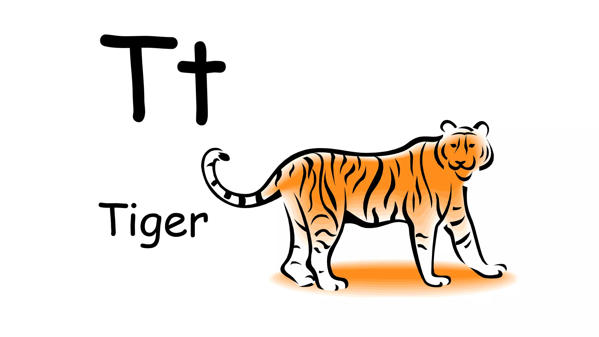 Tt
Tiger