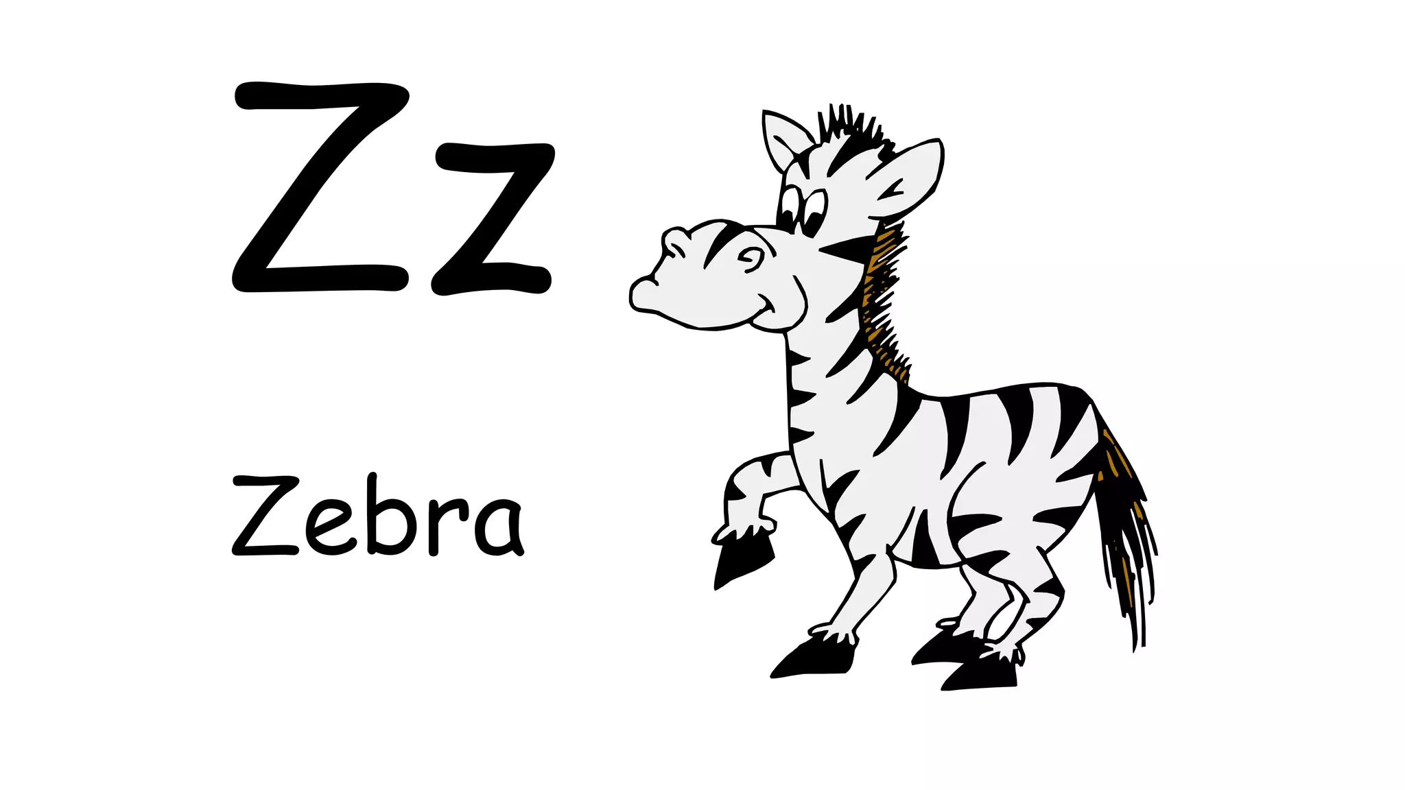 Zz
Zebra