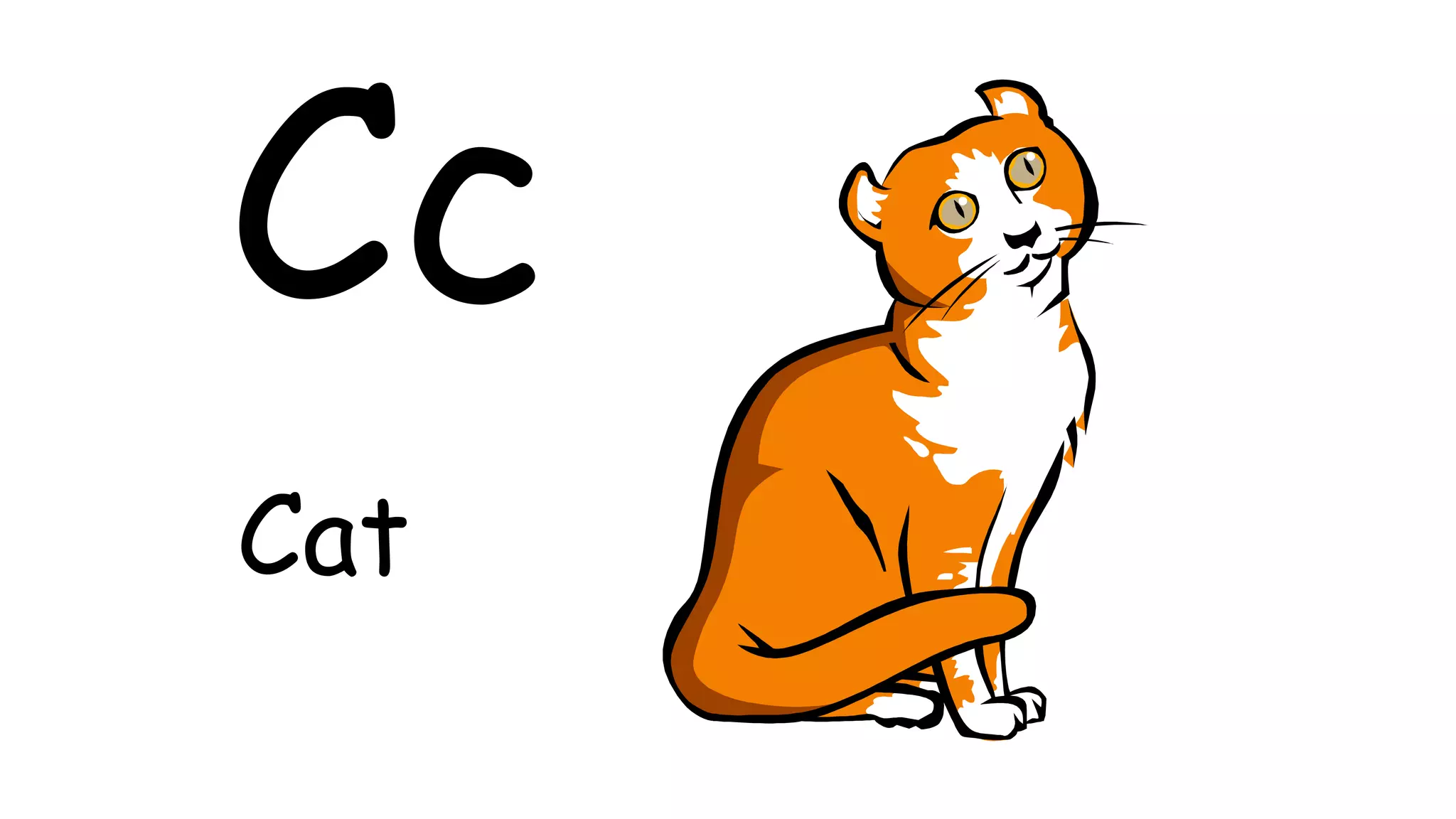 Cc
Cat