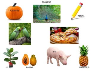 PUMPKIN
PEACOCK
PENCIL
PARROT
PIZZA
PLANT PAPAYA
PIG
PINEAPPLE
 
