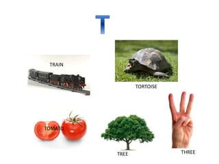 TRAIN
TORTOISE
TOMATO
TREE THREE
 