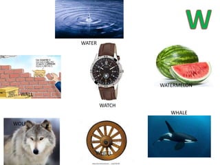 WATER
WALL
WATCH
WATERMELON
WOLF
WHEEL
WHALE
 