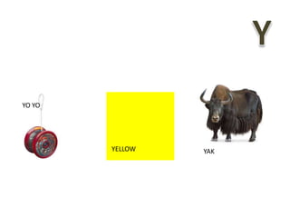 YO YO
YELLOW YAK
 
