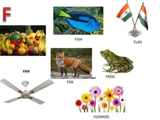 FRUITS
FAN
FISH
FLAG
FROG
FOX
FLOWERS
 