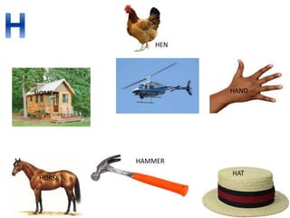 HAND
HOME
HAMMER
HEN
HAT
HORSE
 