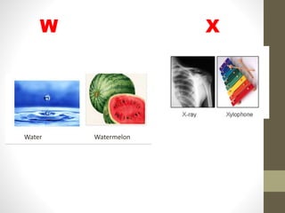 W X
Water Watermelon
 