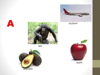 A airplane
apple
ape
avocado
 