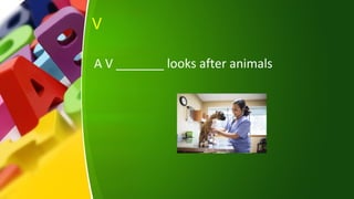 V
A V _______ looks after animals
 