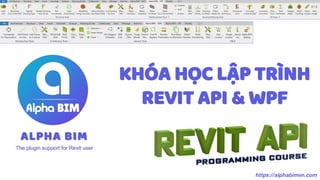 KHÓA HỌC LẬP TRÌNH
REVIT API & WPF
ALPHA BIM
The plugin support for Revit user
 