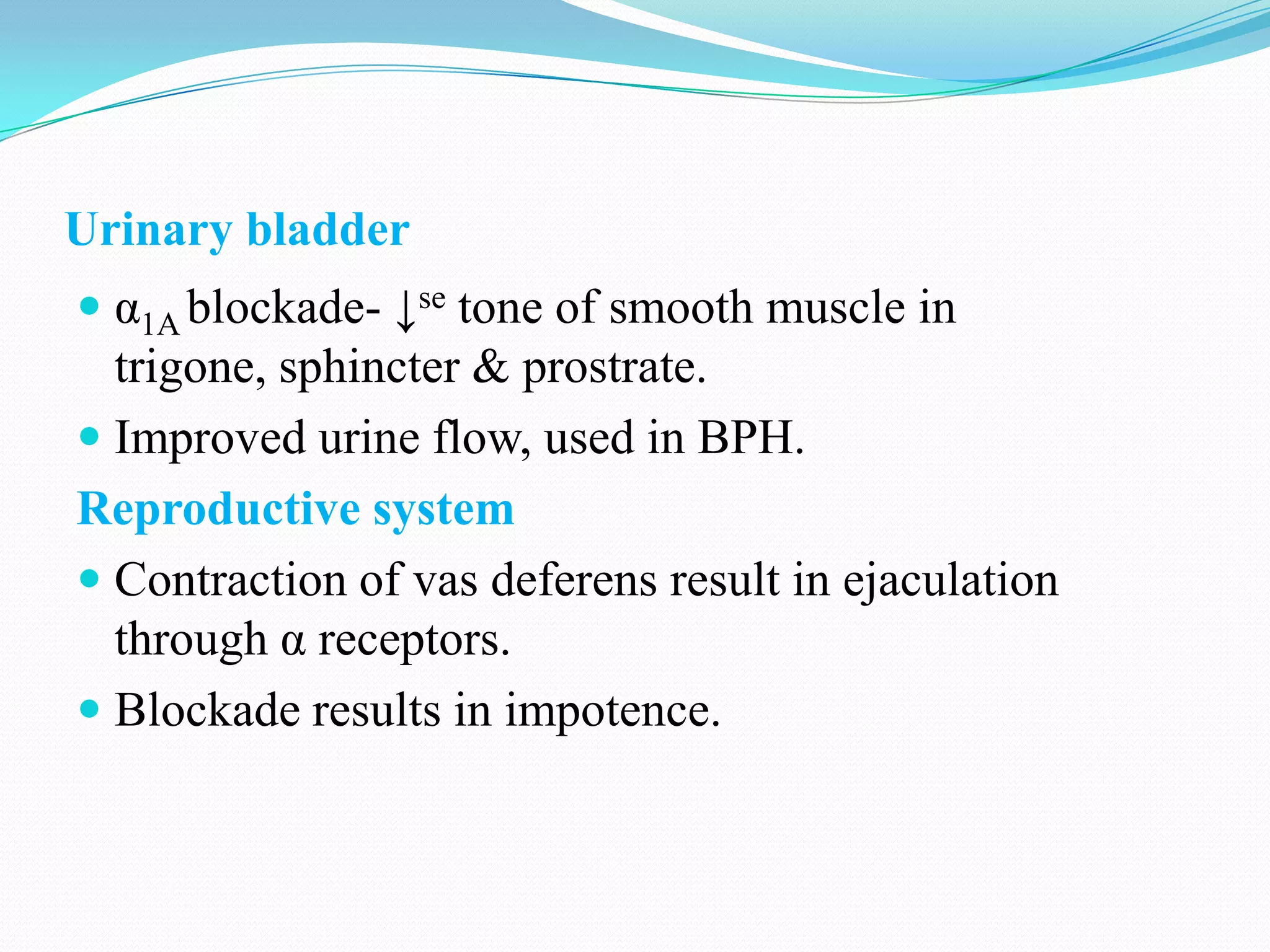Urinary bladder
 α1A blockade- ↓se tone of smooth muscle in
trigone, sphincter & prostrate.
 Improved urine flow, used in BPH.

Reproductive system
 Contraction of vas deferens result in ejaculation
through α receptors.
 Blockade results in impotence.

 