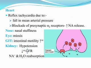 Heart
 Reflex tachycardia due to: fall in mean arterial pressure
Blockade of presynaptic α2 receptors- ↑ NA release.
Nose: nasal stuffiness
Eye: miosis
GIT: intestinal motility ↑se
Kidney: Hypotension
↓se GFR
NA+ & H2O reabsorption

 