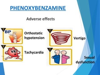 PHENOXYBENZAMINE
Adverse effects
Orthostatic
hypotension
Tachycardia
Vertigo
Sexual
dysfunction
 