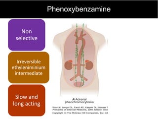 Phenoxybenzamine
Non
selective
Irreversible
ethyleniminium
intermediate
Slow and
long acting
 