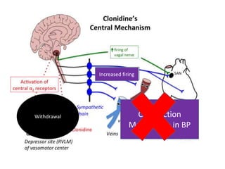 Withdrawal
Increased firing
Constriction
Marked rise in BP
 