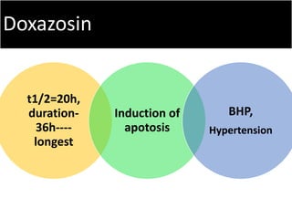 Doxazosin
t1/2=20h,
duration-
36h----
longest
Induction of
apotosis
BHP,
Hypertension
 