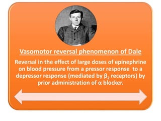 Vasomotor reversal phenomenon of Dale
Reversal in the effect of large doses of epinephrine
on blood pressure from a pressor response to a
depressor response (mediated by β2 receptors) by
prior administration of α blocker.
 