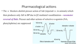 Alpha blockers Pharmacology CBME MBBS 2nd year | PPTX