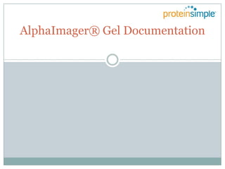AlphaImager® Gel Documentation 