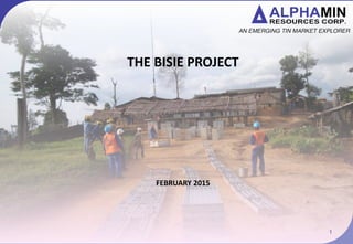 AFM TSX.V
THE BISIE PROJECT
FEBRUARY 2015
1
 