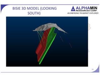BISIE 3D MODEL (LOOKING
SOUTH)
14
 