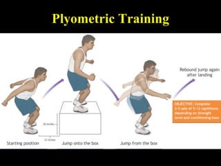 Plyometric Training
 