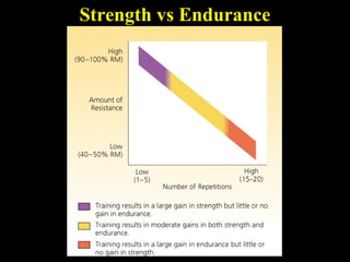 Strength vs Endurance
 