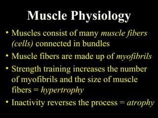 Muscle Physiology
• Muscles consist of many muscle fibers
(cells) connected in bundles
• Muscle fibers are made up of myofibrils
• Strength training increases the number
of myofibrils and the size of muscle
fibers = hypertrophy
• Inactivity reverses the process = atrophy
 